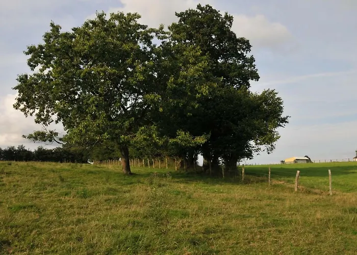 Maison De Famille Rustique Duree De Location 7 Jours Minimum * Saint-Michel-des-Andaines